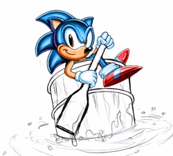 Size: 2048x1844 | Tagged: safe, artist:zilartwork, sonic the hedgehog, sonic spinball, 2024, classic sonic, greg martin style, looking at viewer, paddle, simple background, smile, solo, w.i.p, white background