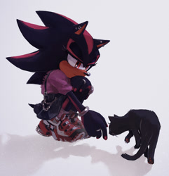 Size: 1444x1500 | Tagged: safe, artist:rayactivefactory, shadow the hedgehog, cat, clothes, duo, ear piercing, earring, grey background, lidded eyes, literal animal, looking at them, shadow (lighting), shirt, simple background, skirt, smile, trans female, transgender