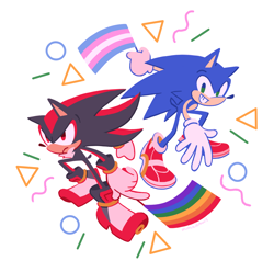 Size: 1280x1271 | Tagged: safe, artist:mimiadraws, shadow the hedgehog, sonic the hedgehog, sonic adventure 2, cute, duo, flag, frown, gay pride, holding something, pride, pride flag, shadowbetes, simple background, sonabetes, trans pride, white background