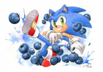Size: 1480x1036 | Tagged: safe, artist:finikart, sonic the hedgehog, blueberry