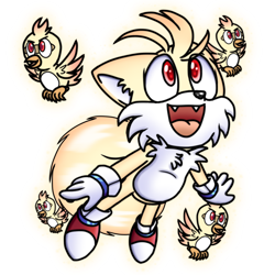 Size: 1000x1000 | Tagged: safe, artist:pastelsketches64, flicky, miles "tails" prower, super tails, fangs, flying, group, looking offscreen, mouth open, simple background, spinning tails, super form, transparent background