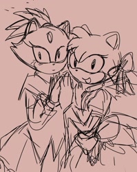 Size: 806x1013 | Tagged: safe, artist:mi0f4e, amy rose, blaze the cat, cat, hedgehog, 2024, amy x blaze, cute, female, females only, holding hands, lesbian, line art, looking at viewer, shipping, sketch