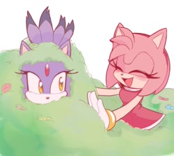Size: 1005x896 | Tagged: safe, artist:sonicnewunivers, amy rose, blaze the cat, cat, hedgehog, 2024, amy x blaze, amy's halterneck dress, bush, cute, eyes closed, female, females only, lesbian, redraw, shipping, smile