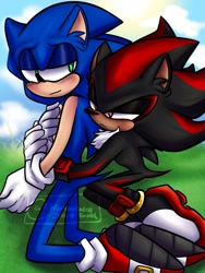 Size: 1536x2048 | Tagged: safe, artist:hippiecockatoo, shadow the hedgehog, sonic the hedgehog, 2024, abstract background, blushing, duo, frown, gay, grass, holding them, hugging from behind, kneeling, lidded eyes, outdoors, shadow x sonic, shipping, signature, smile, watermark