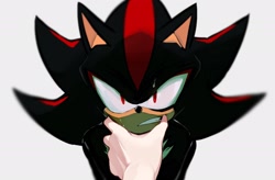 Size: 1908x1254 | Tagged: safe, artist:zeepgalae, shadow the hedgehog, human, 2024, character pov, clenched teeth, grey background, hand, looking at viewer, offscreen character, simple background, solo focus, sweatdrop