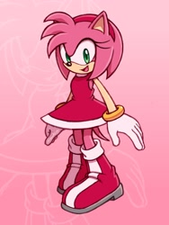 Size: 1536x2048 | Tagged: safe, artist:fronkus123, amy rose, 2024, echo background, gradient background, looking at viewer, smile, solo, standing