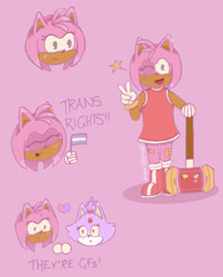 Size: 732x905 | Tagged: safe, artist:tanglesoup, amy rose, blaze the cat, alternate version, amy x blaze, duo, english text, flag, heart, holding something, lesbian, piko piko hammer, pink background, pride, pride flag, shipping, simple background, smile, star (symbol), trans pride, trans rights, wink