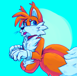 Size: 886x871 | Tagged: safe, artist:hyper-cryptic, miles "tails" prower, beanbrows, looking offscreen, solo, tongue out