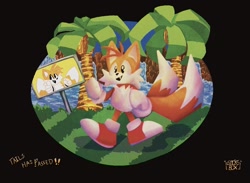 Size: 1064x778 | Tagged: safe, artist:asockinaboxss, miles "tails" prower, green hill zone, abstract background, english text, goal post, grass, palm tree, signature, smile, solo, standing, water