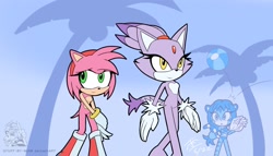 Size: 1920x1098 | Tagged: suggestive, artist:stuff-by-mjm, amy rose, blaze the cat, cat, hedgehog, 2022, amy x blaze, beach, female, females only, gloves, lesbian, naked, shipping, shoes