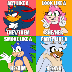 Size: 2000x2000 | Tagged: safe, artist:trashcreatyre, amy rose, shadow the hedgehog, silver the hedgehog, sonic the hedgehog, agender, double v sign, frown, genderfluid, group, meme, nonbinary, pronouns, smile, top surgery scars, trans female, trans male, transgender