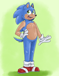 Size: 1495x1924 | Tagged: safe, artist:dragon-spaghetti, sonic the hedgehog, gradient background, hand on hip, looking at viewer, smile, solo, standing, top surgery scars, trans male, transgender