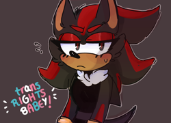 Size: 1280x920 | Tagged: safe, artist:bunnykitty13, shadow the hedgehog, blushing, english text, frown, grey background, lesbian, lidded eyes, looking at viewer, outline, simple background, solo, sweatdrop, trans female, trans rights, transgender