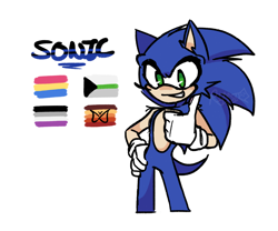 Size: 1392x1158 | Tagged: safe, artist:dangerbizz, sonic the hedgehog, ace, adhd, character name, demiromantic, hand on hip, looking at viewer, pansexual, simple background, smile, solo, standing, thumbs up, white background