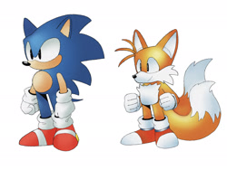 Size: 2048x1536 | Tagged: safe, artist:larabar, miles "tails" prower, sonic the hedgehog, sonic the hedgehog 2, classic sonic, classic style, classic tails, duo, simple background, standing, white background