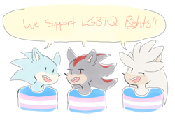 Size: 1000x700 | Tagged: safe, artist:trans-tails, shadow the hedgehog, silver the hedgehog, sonic the hedgehog, bust, dialogue, english text, mouth open, pride, pride flag, shirt, simple background, speech bubble, trans pride, trio, white background, wink