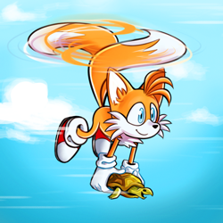 Size: 3000x3000 | Tagged: safe, artist:veronicaandjelly, miles "tails" prower, 2020, abstract background, carrying them, clouds, daytime, duo, flying, literal animal, looking ahead, outdoors, smile, spinning tails, turtle