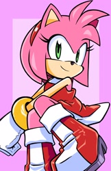 Size: 1330x2048 | Tagged: safe, artist:randomguy9991, amy rose, 2024, border, pink background, simple background, sitting, smile, solo