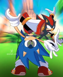 Size: 1676x2048 | Tagged: safe, artist:starlight_seed, shadow the hedgehog, sonic the hedgehog, daytime, duo, outdoors