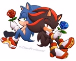 Size: 2047x1640 | Tagged: safe, artist:chaoprofessor, shadow the hedgehog, sonic the hedgehog, 2024, blushing, duo, flower, frown, gay, holding something, lidded eyes, looking at viewer, rose, shadow x sonic, shipping, signature, simple background, sitting, white background