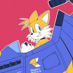 Size: 1440x1440 | Tagged: safe, artist:other_subject, miles "tails" prower, 2024, looking back, looking offscreen, outline, smile, solo, tornado ii