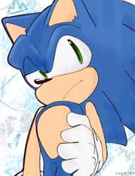 Size: 1052x1373 | Tagged: safe, artist:spinelxsteven, sonic the hedgehog, abstract background, frown, looking offscreen, signature, solo, standing