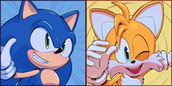 Size: 2782x1394 | Tagged: safe, artist:7starlightkitty7, miles "tails" prower, sonic the hedgehog, 2023, duo, icon, smile, wink