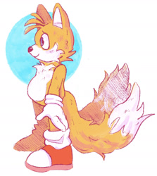Size: 1590x1780 | Tagged: safe, artist:eggskie, miles "tails" prower, cute, fluffy, looking offscreen, side view, smile, solo, standing