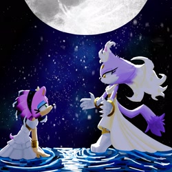 Size: 2048x2048 | Tagged: safe, artist:ashybon_, amy rose, blaze the cat, cat, hedgehog, 2024, amy x blaze, cute, female, females only, lesbian, looking at each other, moon, shipping, water