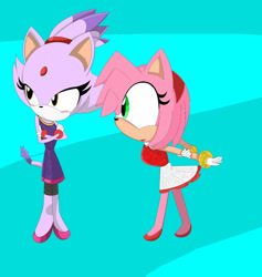 Size: 1024x1078 | Tagged: safe, artist:shadouge106, amy rose, blaze the cat, cat, hedgehog, 2017, amy x blaze, cute, female, females only, gymnastic outfit, lesbian, looking at them, mario & sonic at the olympic games, shipping