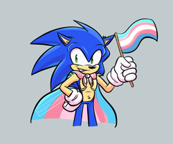 Size: 1289x1080 | Tagged: safe, artist:101dragontrainer, sonic the hedgehog, 2023, cape, flag, grey background, hand on hip, holding something, looking at viewer, pride, pride flag, signature, simple background, smile, solo, top surgery scars, trans male, trans pride, transgender