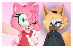 Size: 2048x1365 | Tagged: safe, artist:callme_atlas_, amy rose, whisper the wolf, 2024, border, duo, gradient background, looking at viewer, selfie, smile, v sign, wink