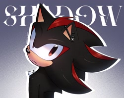 Size: 2048x1623 | Tagged: safe, artist:kazuna_endi, shadow the hedgehog, 2024, character name, ear piercing, earring, frown, gradient background, looking at viewer, looking back, looking back at viewer, outline, solo