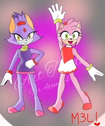 Size: 898x1073 | Tagged: safe, artist:mika3love, amy rose, blaze the cat, cat, hedgehog, 2021, amy x blaze, cute, female, females only, gymnastic outfit, hand up, lesbian, looking at viewer, mouth open, shipping