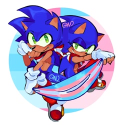 Size: 1192x1200 | Tagged: safe, artist:night_owlin, sonic the hedgehog, 2024, duo, holding something, looking at viewer, pride, self paradox, signature, simple background, smile, top surgery scars, trans female, trans male, trans pride, transfem pride, transgender, transmasc pride, white background