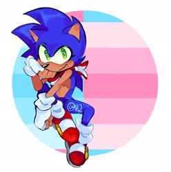Size: 2034x2048 | Tagged: safe, artist:night_owlin, sonic the hedgehog, 2024, alternate version, holding something, looking at viewer, pride, signature, simple background, smile, solo, top surgery scars, trans male, transfem pride, transgender, transmasc pride, white background