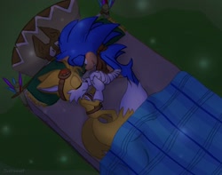 Size: 2048x1617 | Tagged: safe, artist:jeffydust, miles "tails" prower, sonic the hedgehog, 2024, abstract background, bed, duo, eyes closed, gay, grass, holding hands, lidded eyes, looking at them, lying down, lying on side, nighttime, outdoors, shipping, sleeping, smile, sonic boom (tv), sonic x tails