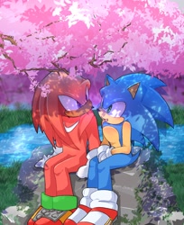 Size: 1673x2048 | Tagged: safe, artist:sonix_chaos, knuckles the echidna, sonic the hedgehog, 2024, abstract background, cherry blossom tree, daytime, duo, gay, knuxonic, looking at each other, mouth open, outdoors, shipping, sitting, smile, under a tree