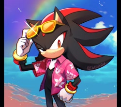 Size: 2048x1809 | Tagged: safe, artist:shiiyou2, shadow the hedgehog, bird, 2024, abstract background, beach, beach outfit, clouds, daytime, jacket, literal animal, looking at viewer, ocean, outdoors, rainbow, seagull, shadow's logo, shine, signature, smile, solo, standing, sunglasses