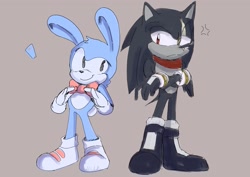 Size: 2048x1448 | Tagged: safe, artist:blu3s_doodles, feels the rabbit, 2024, arms folded, cross popping vein, duo, frown, grey background, lidded eyes, looking at them, simple background, smile, standing, terios the hedgehog