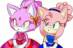 Size: 736x490 | Tagged: safe, artist:kingdom-of-rp, amy rose, blaze the cat, cat, hedgehog, 2024, amy x blaze, cute, dress, female, females only, gown, lesbian, looking at them, shipping