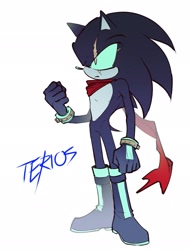 Size: 1556x2048 | Tagged: safe, artist:sa1k_a, hedgehog, 2024, blue sclera, character name, clenched fists, frown, looking offscreen, simple background, solo, standing, terios the hedgehog, white background