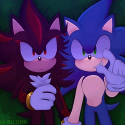 Size: 2048x2048 | Tagged: safe, artist:_bbutterfry, shadow the hedgehog, sonic the hedgehog, 2024, duo, frown, gay, grass, holding hands, looking at viewer, looking up, lying down, nighttime, outdoors, pointing, shadow x sonic, shipping, signature, smile, stargazing