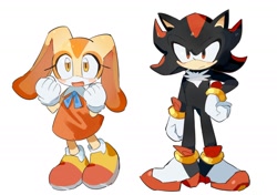 Size: 1974x1390 | Tagged: safe, artist:snti_82, cream the rabbit, shadow the hedgehog, 2024, blushing, creamabetes, cute, duo, looking ahead, mouth open, shadowbetes, simple background, smile, standing, white background