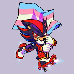 Size: 1709x1709 | Tagged: safe, artist:manoxipi, shadow the hedgehog, 2024, flag, holding something, looking at viewer, pride, pride flag, purple background, simple background, skating, solo, trans male, trans pride, transgender