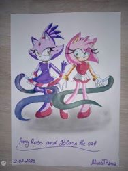 Size: 780x1040 | Tagged: safe, artist:mivesth, amy rose, blaze the cat, cat, hedgehog, 2023, amy x blaze, cute, female, females only, gymnastic outfit, lesbian, ribbons, shipping, traditional media