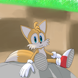 Size: 1407x1407 | Tagged: safe, artist:ttf46, miles "tails" prower, green hill zone, sonic prime, 2024, abstract background, daytime, grass, looking at viewer, outdoors, rock, smile, solo
