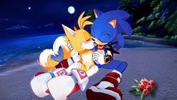 Size: 2048x1152 | Tagged: safe, artist:stardreamosx, miles "tails" prower, sonic the hedgehog, 2024, abstract background, beach, blushing, duo, eyes closed, flower, gay, heart, heart tail, holding each other, holding hands, kiss, moon, nighttime, outdoors, saliva, shipping, sitting, sloppy kissing, sonic x tails, water