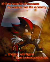 Size: 2048x2548 | Tagged: safe, artist:priestly-prince, shadow the hedgehog, abstract background, english text, flag, frown, holding something, looking offscreen, pride, pride flag, solo, standing, trans male, trans pride, transgender