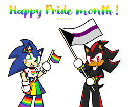 Size: 750x628 | Tagged: safe, artist:leou2003, shadow the hedgehog, sonic the hedgehog, 2020, alternate outfit, bow, crop top, cute, demisexual, demisexual pride, duo, english text, flag, gay, gay pride, heart, holding something, looking at viewer, pride, skirt, smile, standing, tongue out